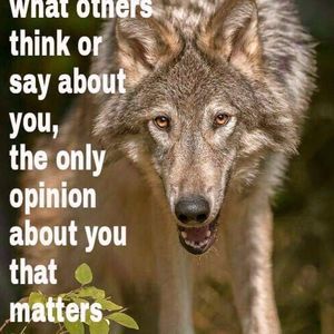 Meet your Posher, Sheri